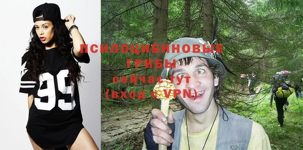 Альфа ПВП Костерёво