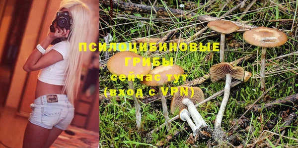 Альфа ПВП Костерёво