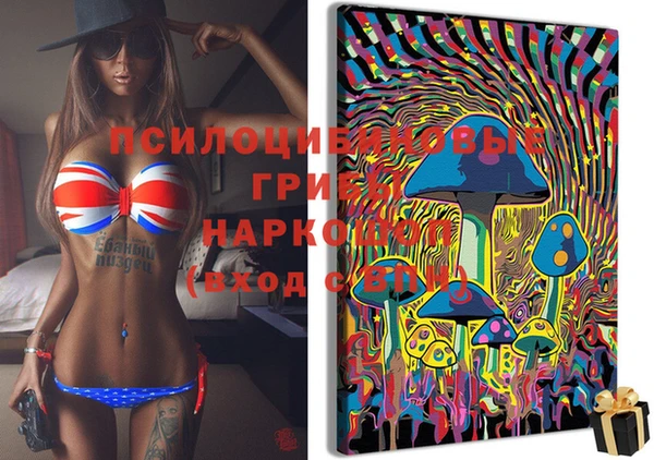 мет Коряжма