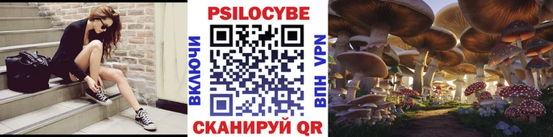 Купить закладки  Дивногорск  Галлюциногенные грибы Magic Shrooms 